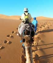 man riding a camel